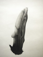 Kunstraum-unten: Marx / Musehold Rauminstallation