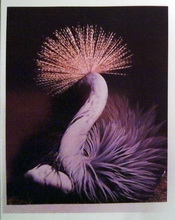 Kunstraum-unten: Marx / Musehold Rauminstallation