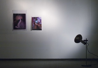 Kunstraum-unten: Marx / Musehold Rauminstallation